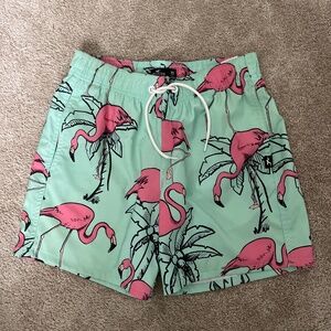 Men’s Hollister XS Swim Trunks